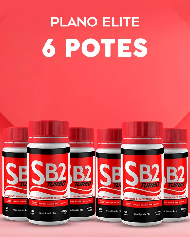 SB2 Turbo 6-month kit